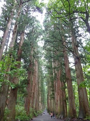 ¸Í±£±ü¼Ò¿ùÊÂÌÚ