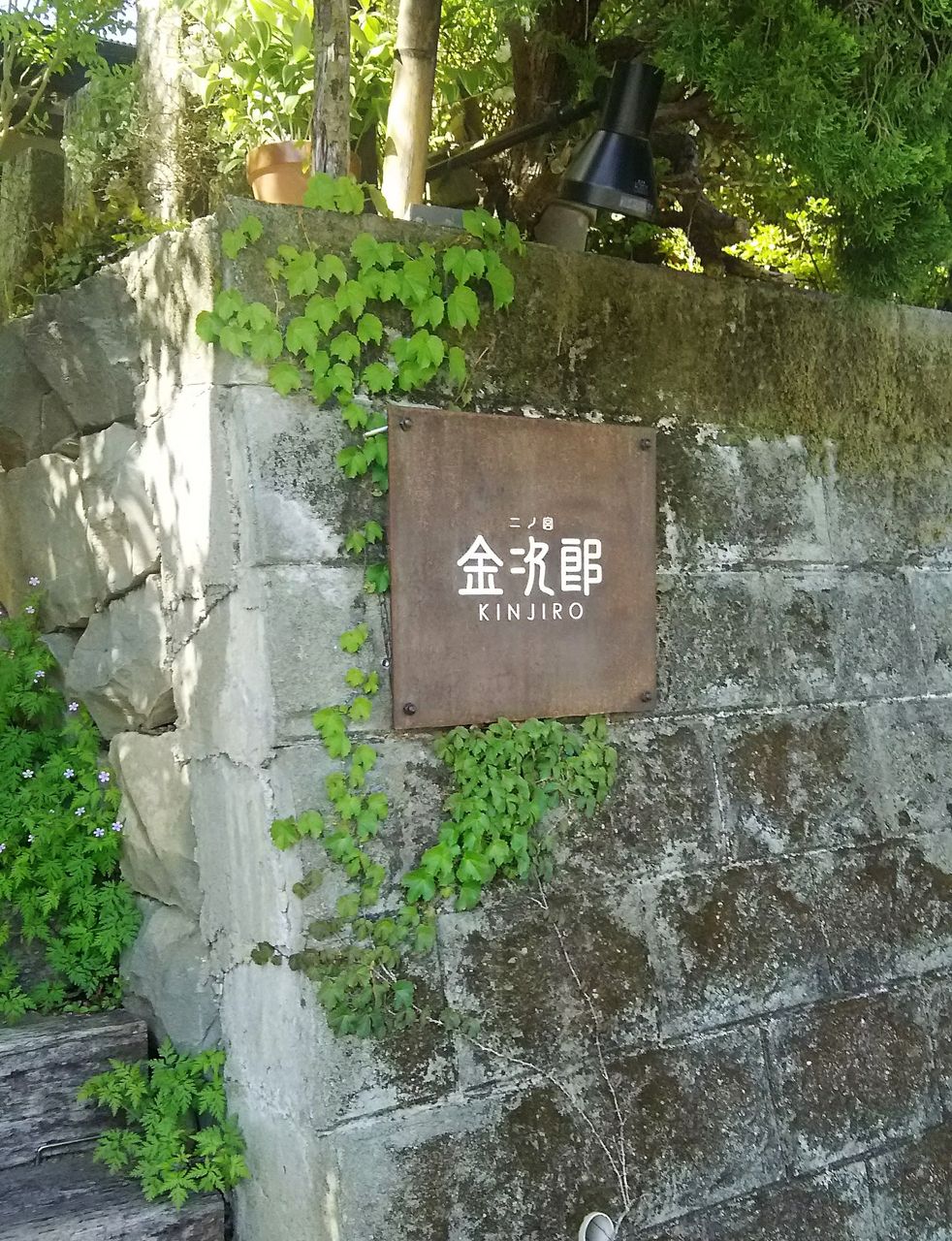 高知 宿毛 二ノ宮金次郎でラーメン なんじゃらかんじゃらあるがな 高知 宿毛 二ノ宮金次郎でラーメン なんじゃらかんじゃらあるがな