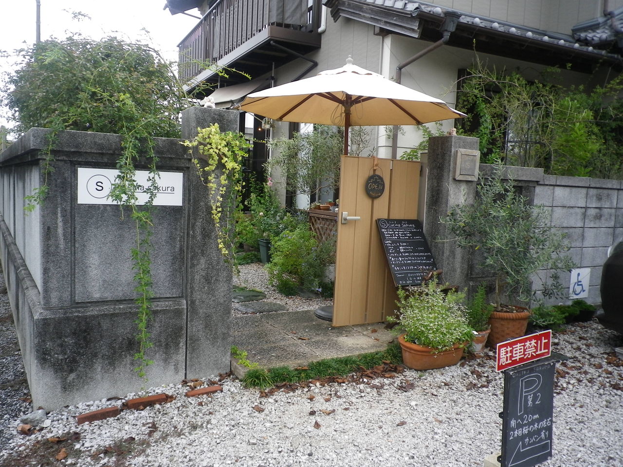 高知 クッチーナ サクラ なんじゃらかんじゃらあるがな