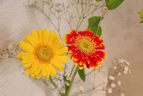 thumbnail_IMG_3539