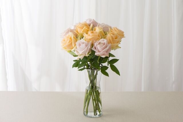 お見舞い にもっていくとタブーな花 お花のマナー まぁやの花景色 お見舞い にもっていくとタブーな花 お花のマナー まぁやの花景色