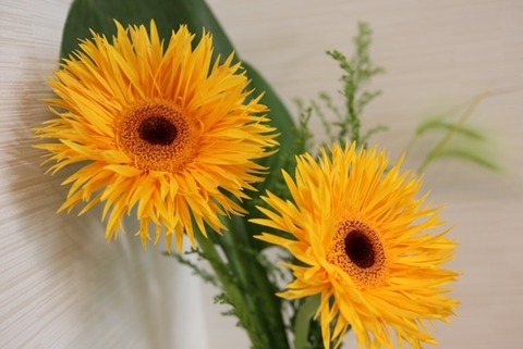 thumbnail_IMG_0704