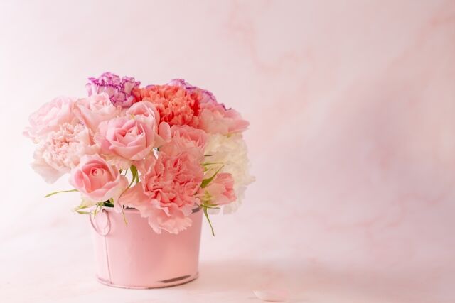お見舞い にもっていくとタブーな花 お花のマナー まぁやの花景色 お見舞い にもっていくとタブーな花 お花のマナー まぁやの花景色