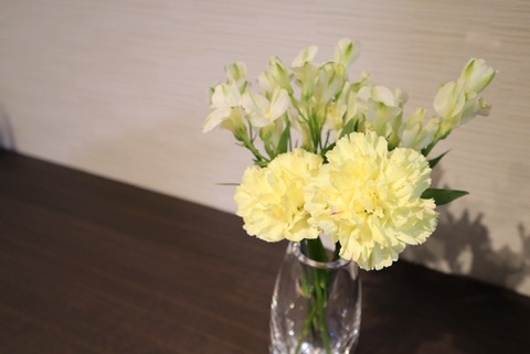 thumbnail_IMG_0020