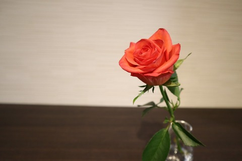 thumbnail_IMG_0012