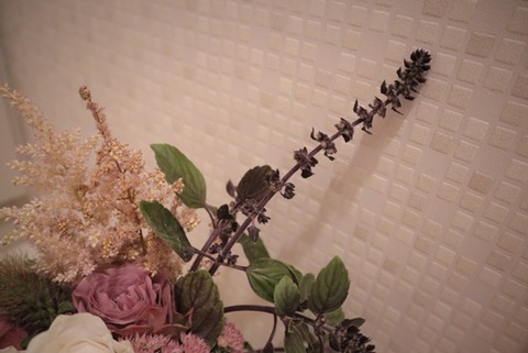 thumbnail_IMG_3647