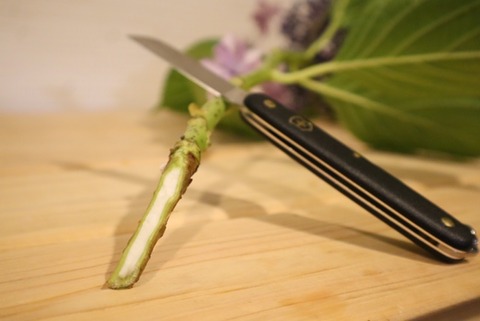 thumbnail_IMG_0914