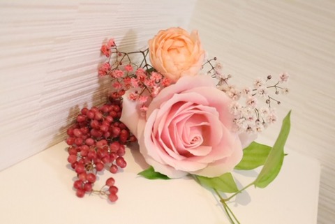 thumbnail_IMG_1339