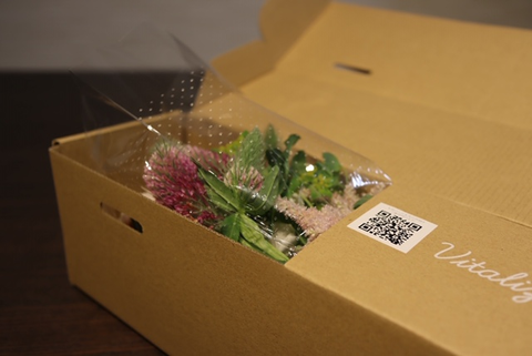お花の定期便
