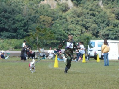 1cacd05f.jpg