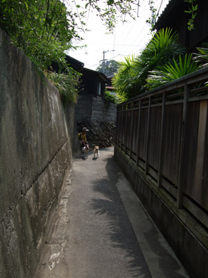 537846e9.jpg