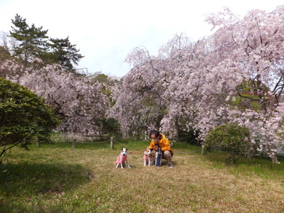 DSCF0092