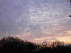 ed65f696.jpg