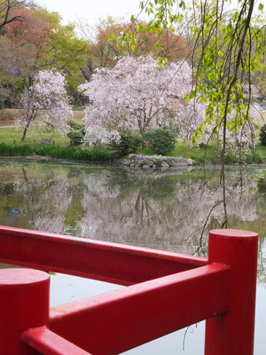 DSCF0102