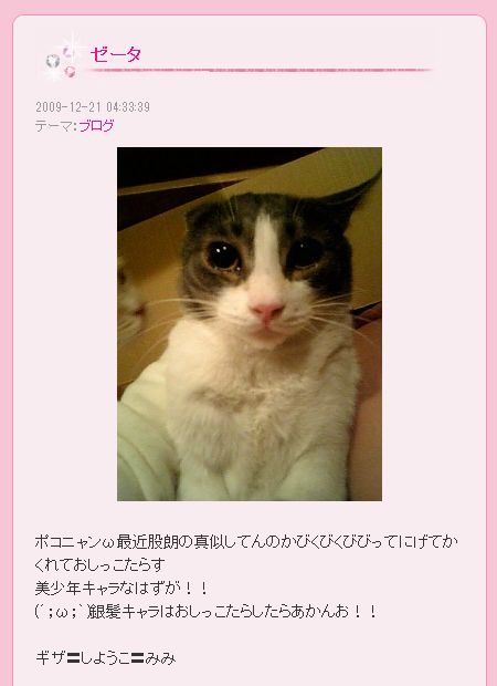 中川翔子 Youtubeで猫虐待動画が おすすめ に表示 不快で悲しすぎる どうにかならないの ガールズちゃんねる Girls Channel