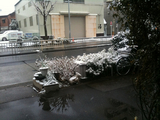�椭201002