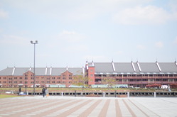 DSC_1781