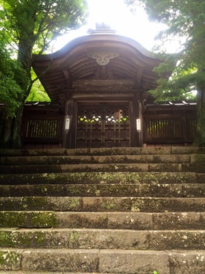 写真 1 のコピー 2