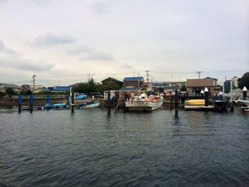 写真 2