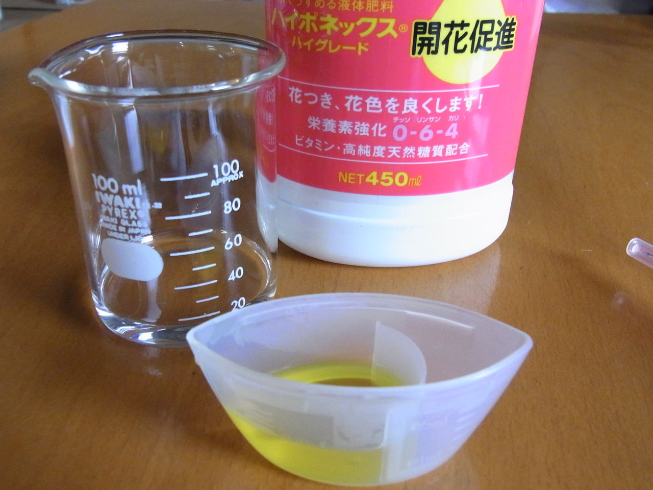 水槽生活七十一日目 水草水槽の日記