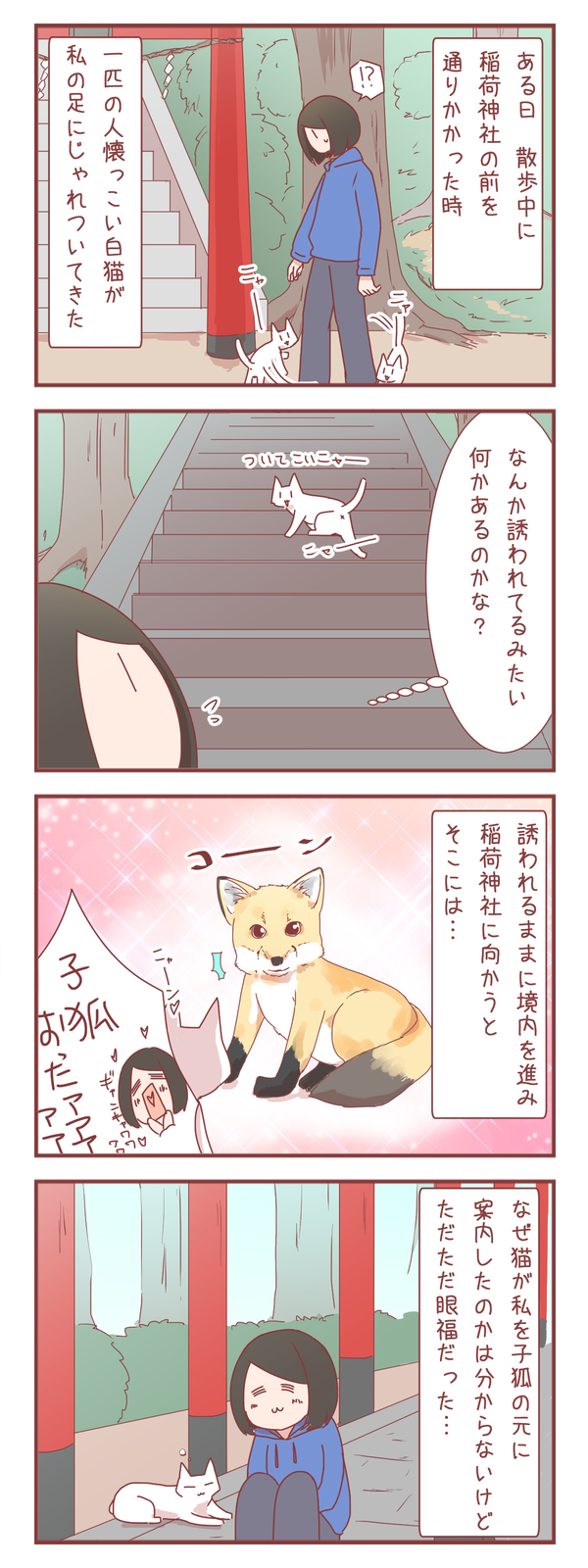 散歩中に出会った人懐っこい猫の後について行ってみた結果