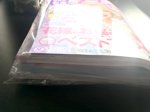 驚愕の分厚さ