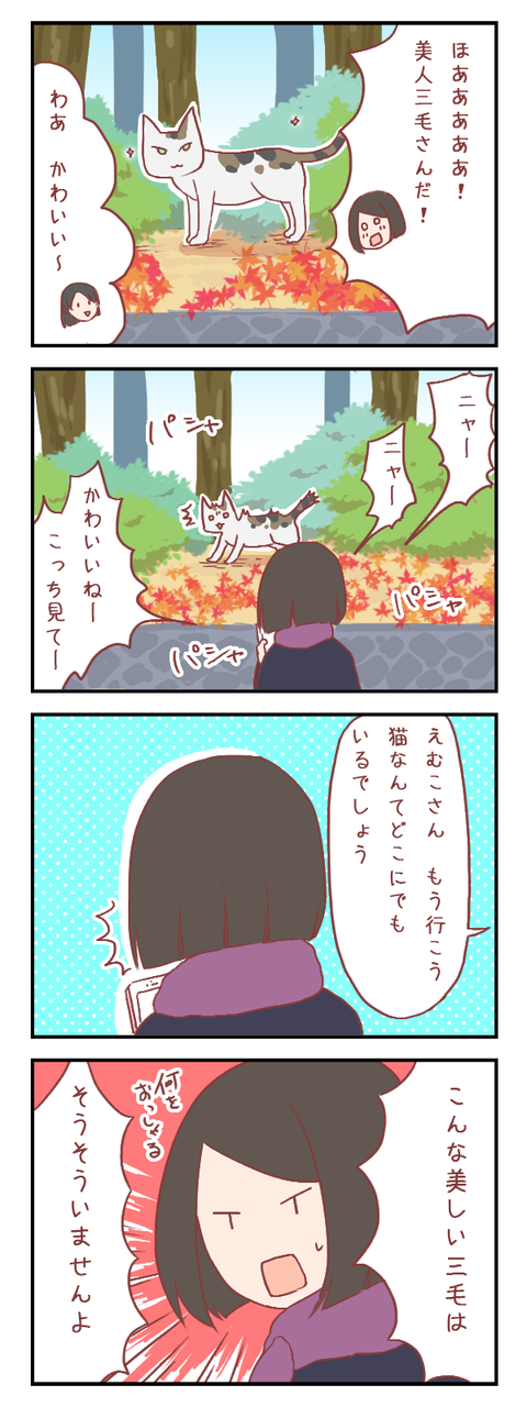 【ろぐ369】美しすぎる三毛猫を前にして
