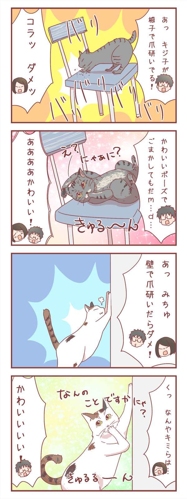 うちの猫さんたち、叱られた時のマニュアルを共有していそうな件