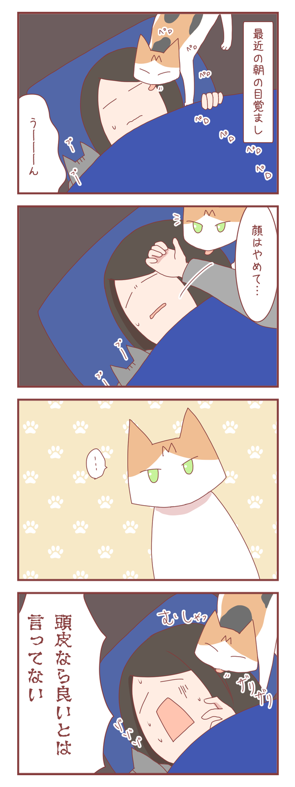 猫は人間の言葉をかなり理解してる気がする