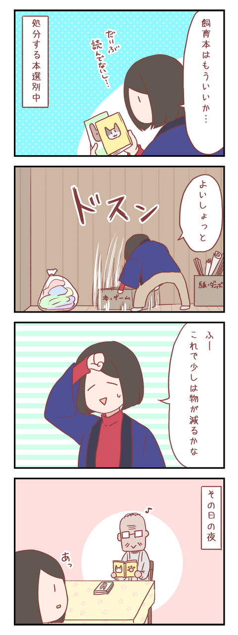【ろぐ４１０】大掃除あるあるが我が家にも