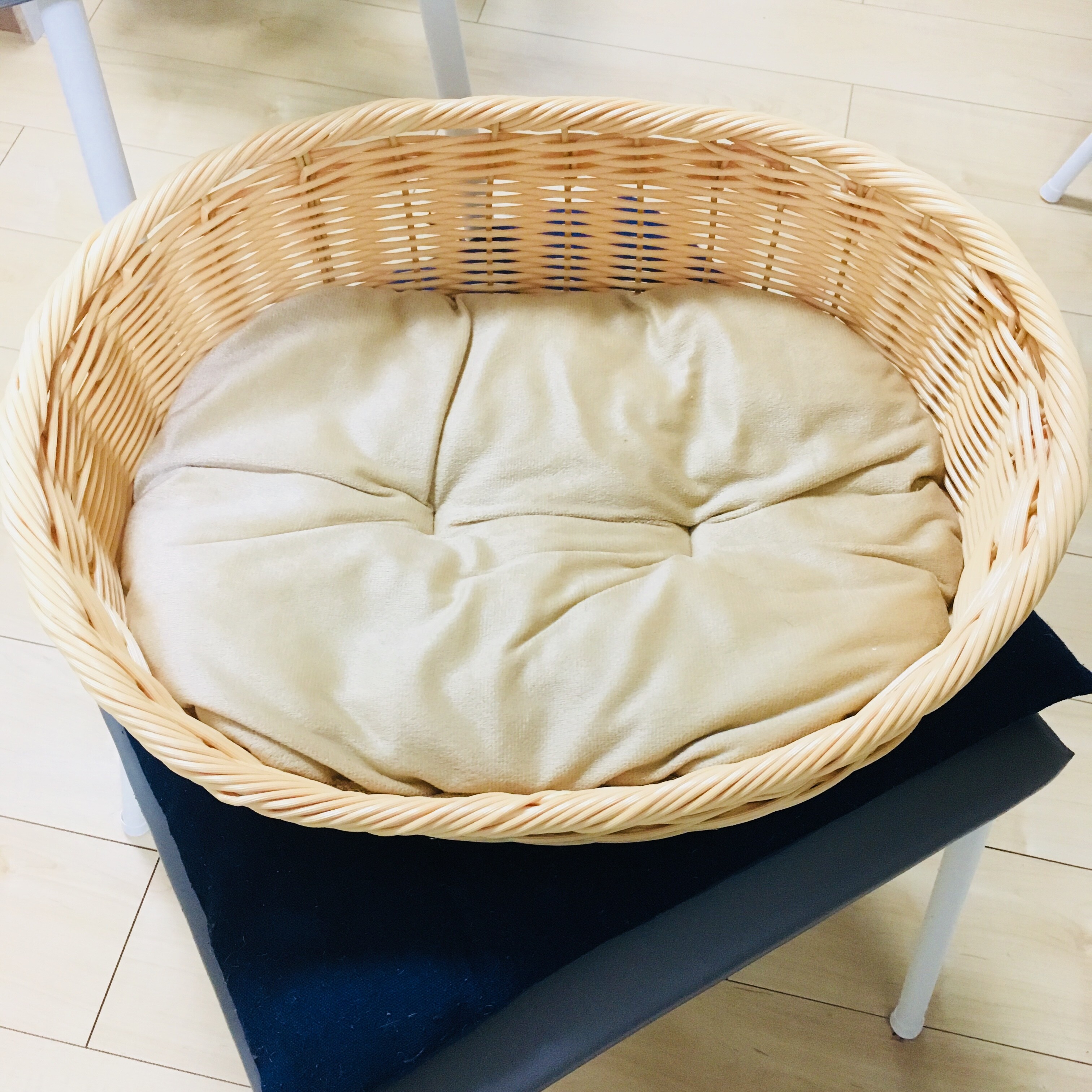 ダイソーでめちゃくちゃ可愛いペット用ベッド買ったら 19 元彼が消滅したヲタ彼女でぃーぷろぐ Powered By ライブドアブログ ダイソーでめちゃくちゃ可愛いペット用ベッド買ったら 19 元彼が消滅したヲタ彼女でぃーぷろぐ Powered By ライブドアブログ