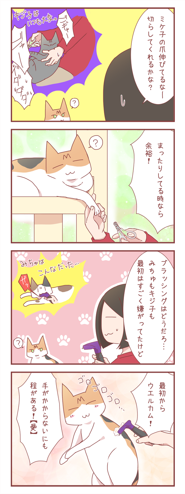 一般的に猫のケアは大変だけれど