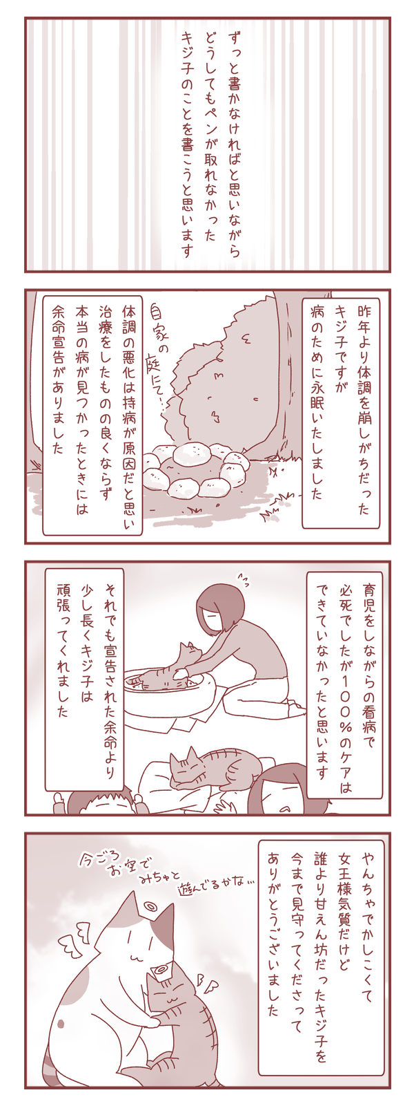 キジ子のこと(ご報告)