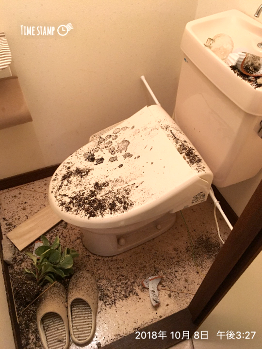 60 突っ張り棒に注意 トイレが大惨事に 猫とお部屋と節約ゴハン Powered By ライブドアブログ 60 突っ張り棒に注意 トイレが大惨事に 猫とお部屋と節約ゴハン Powered By ライブドアブログ