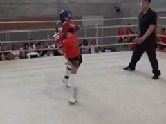 とあるジュニアクラスの男女混合キックボクシング大会でのハプニング～ローブローで失神KO～