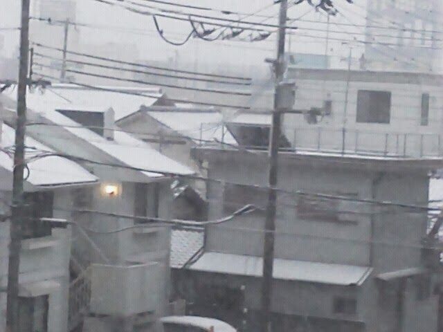 yuki3