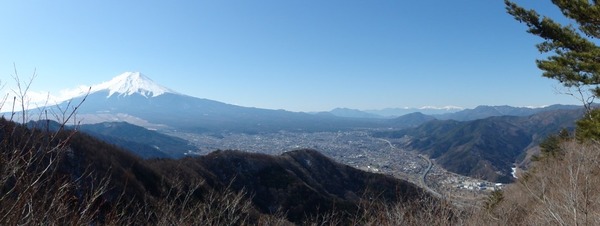 12021203