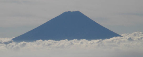 08101202