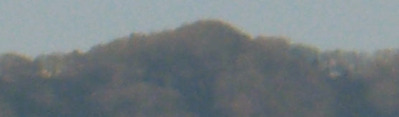 09021204
