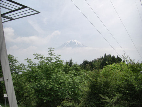 10060601