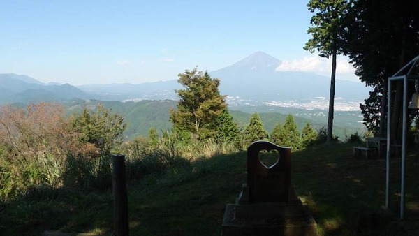 15100701