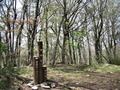 09050901