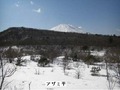 08030203