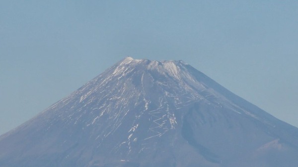 12010503