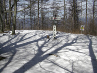 09030704