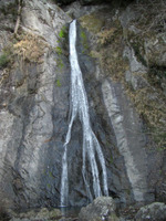 09010104