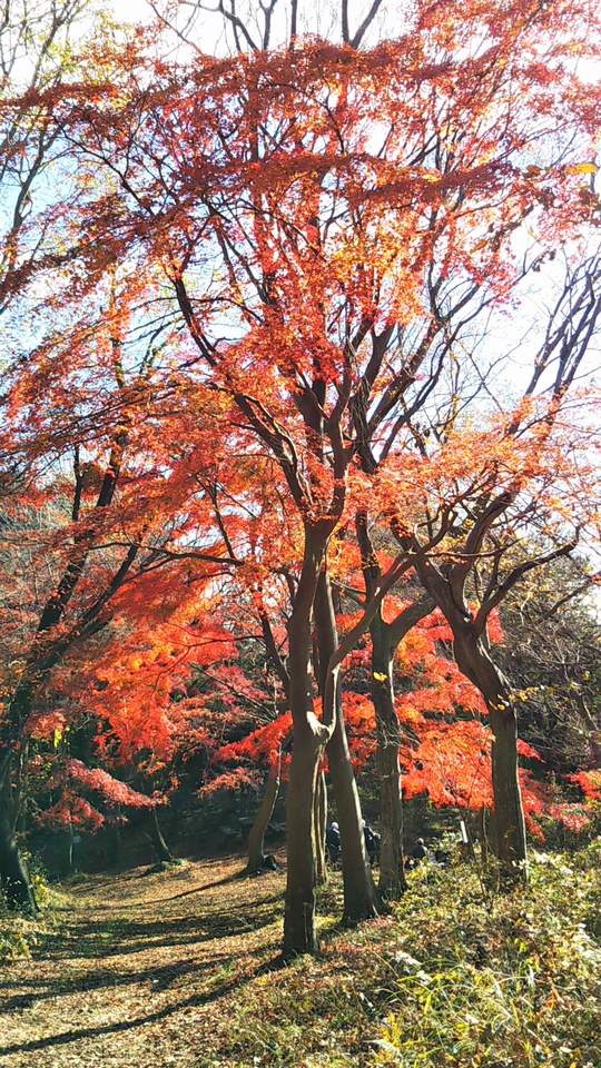 20111001