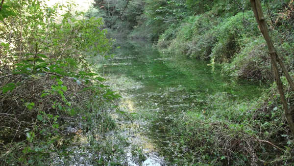 img20111001095057196
