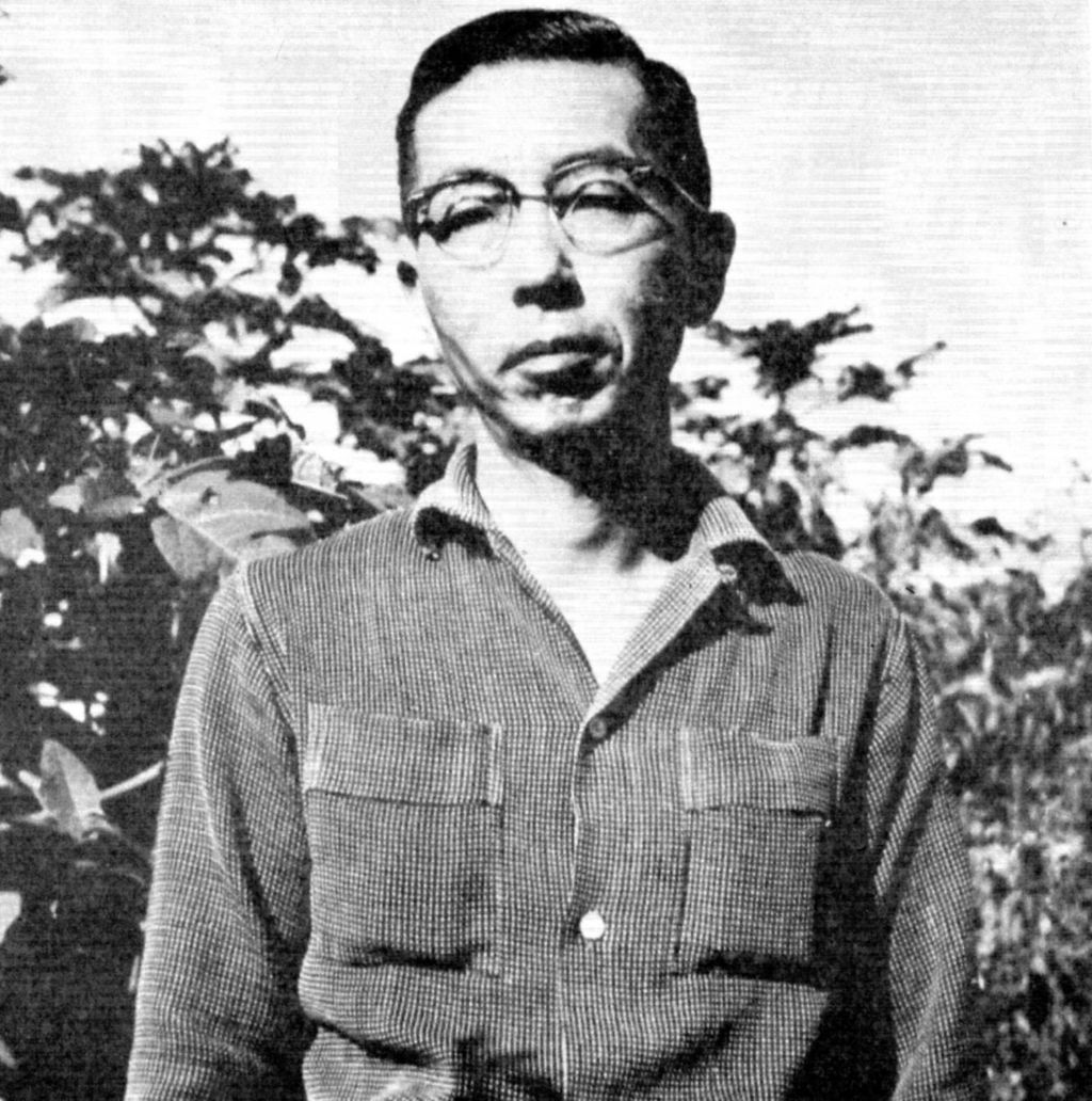 ブラジルウッド