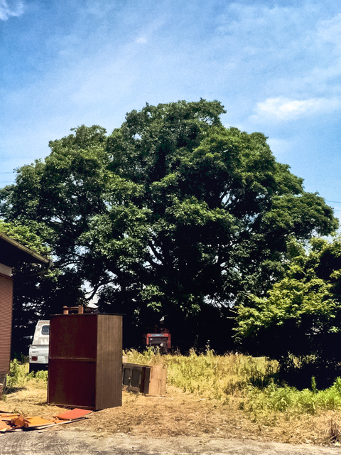 df6bdab6-Edit-2-Edit